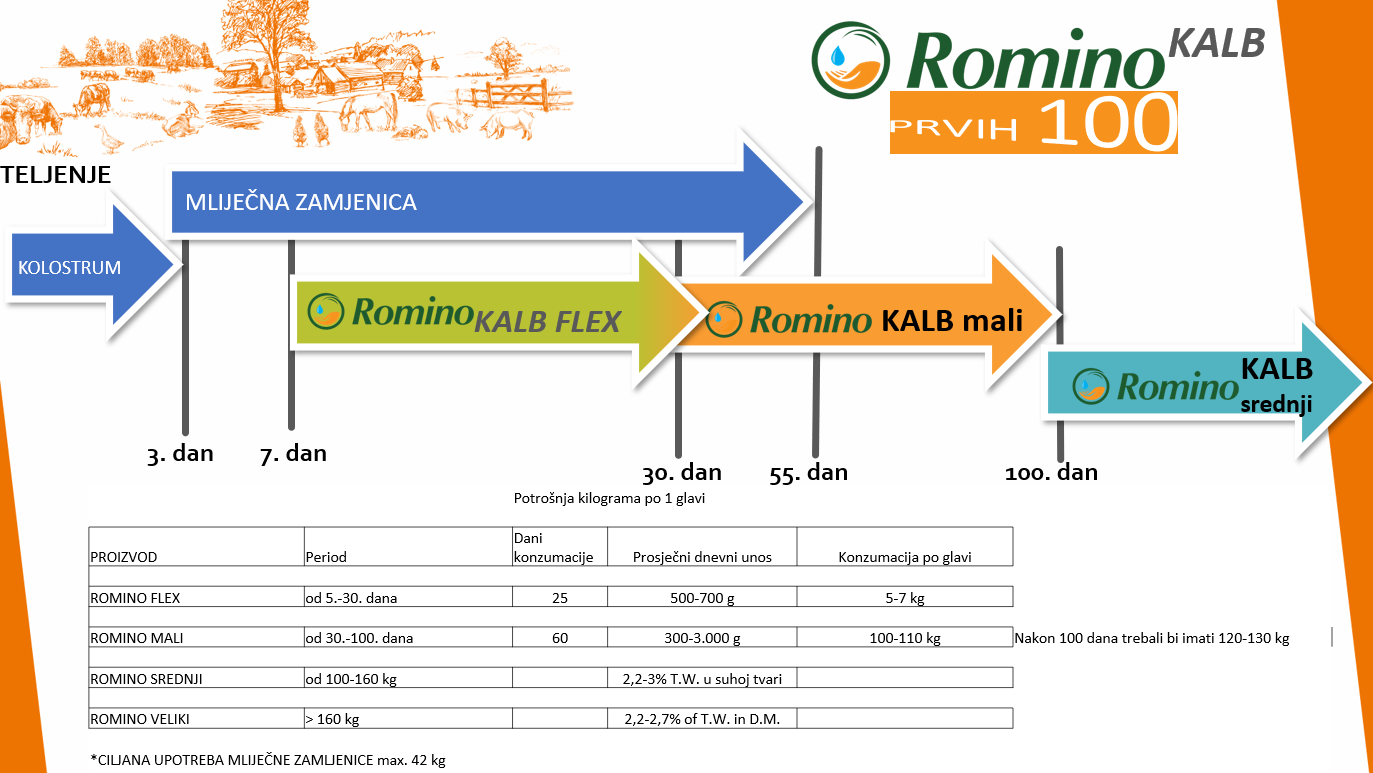 timeline hranjenja s Rominom