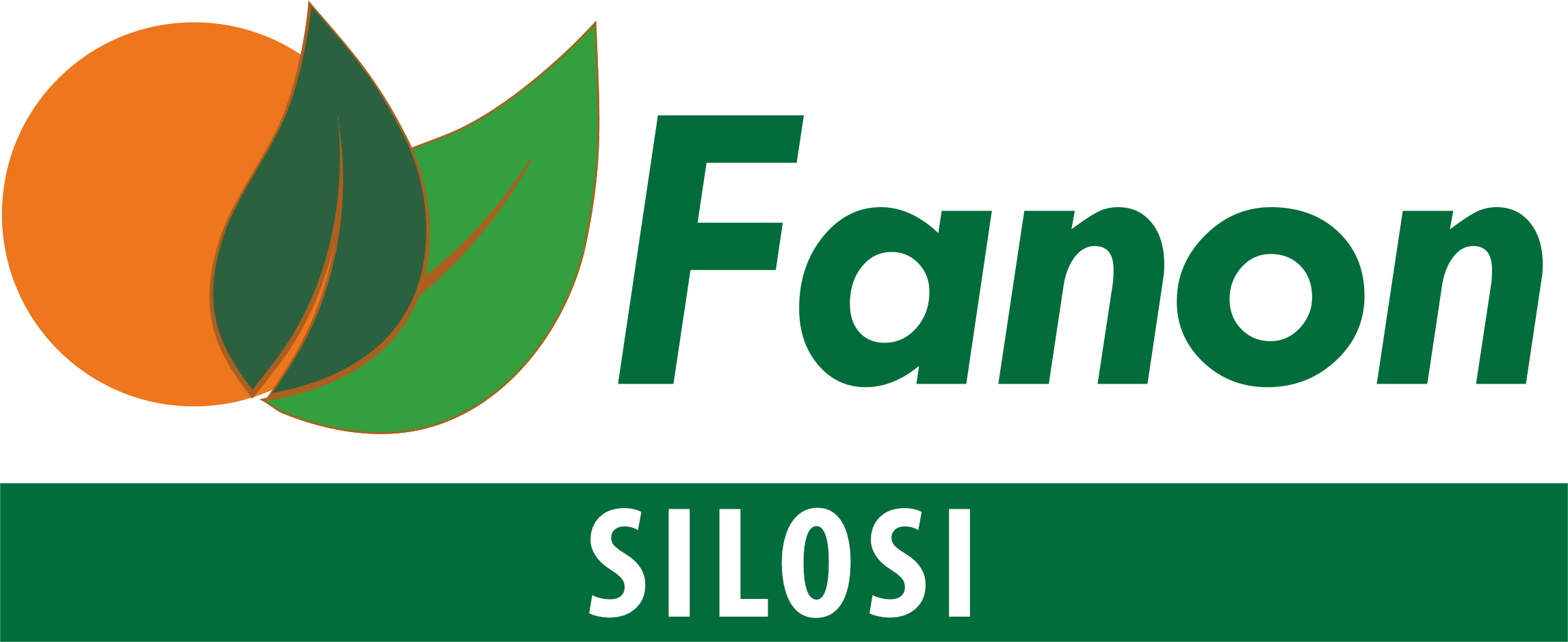 Fanon silosi