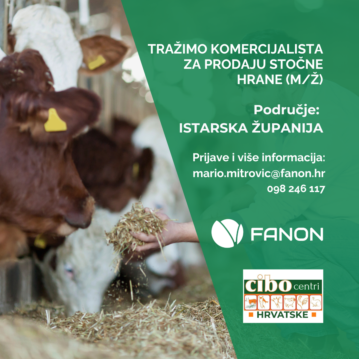 posao komercijalist Istra