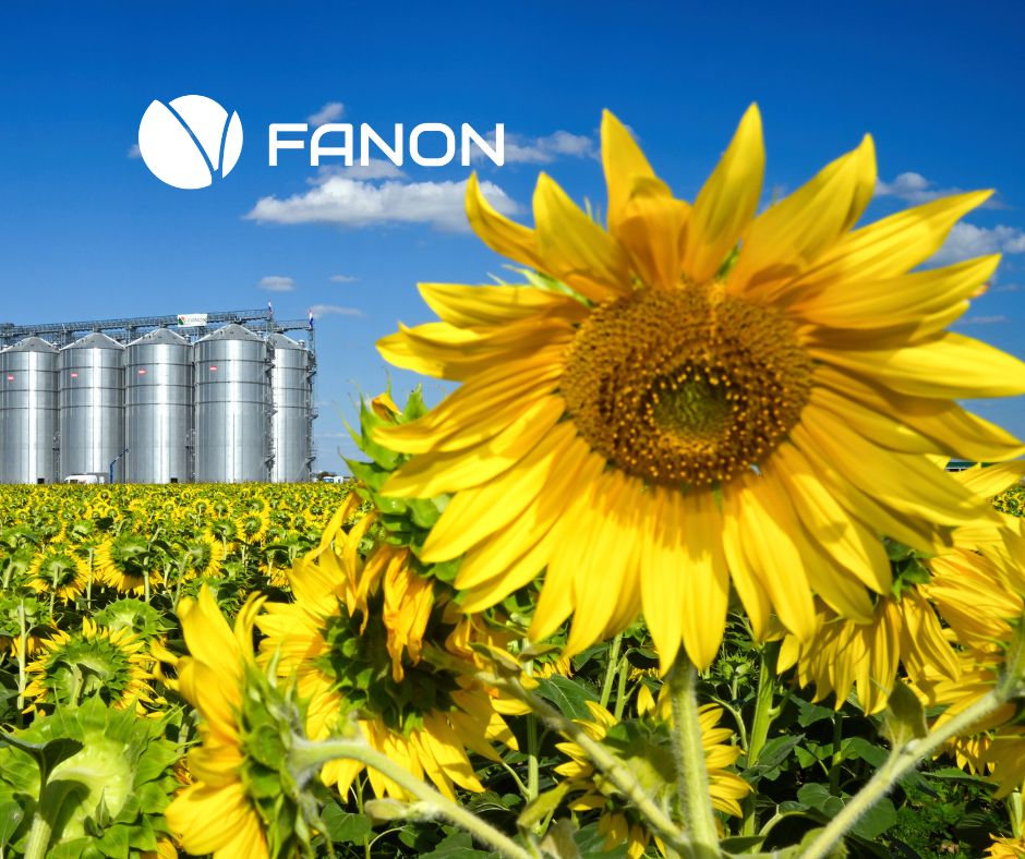 Ugovaranje proizvodnje suncokreta 